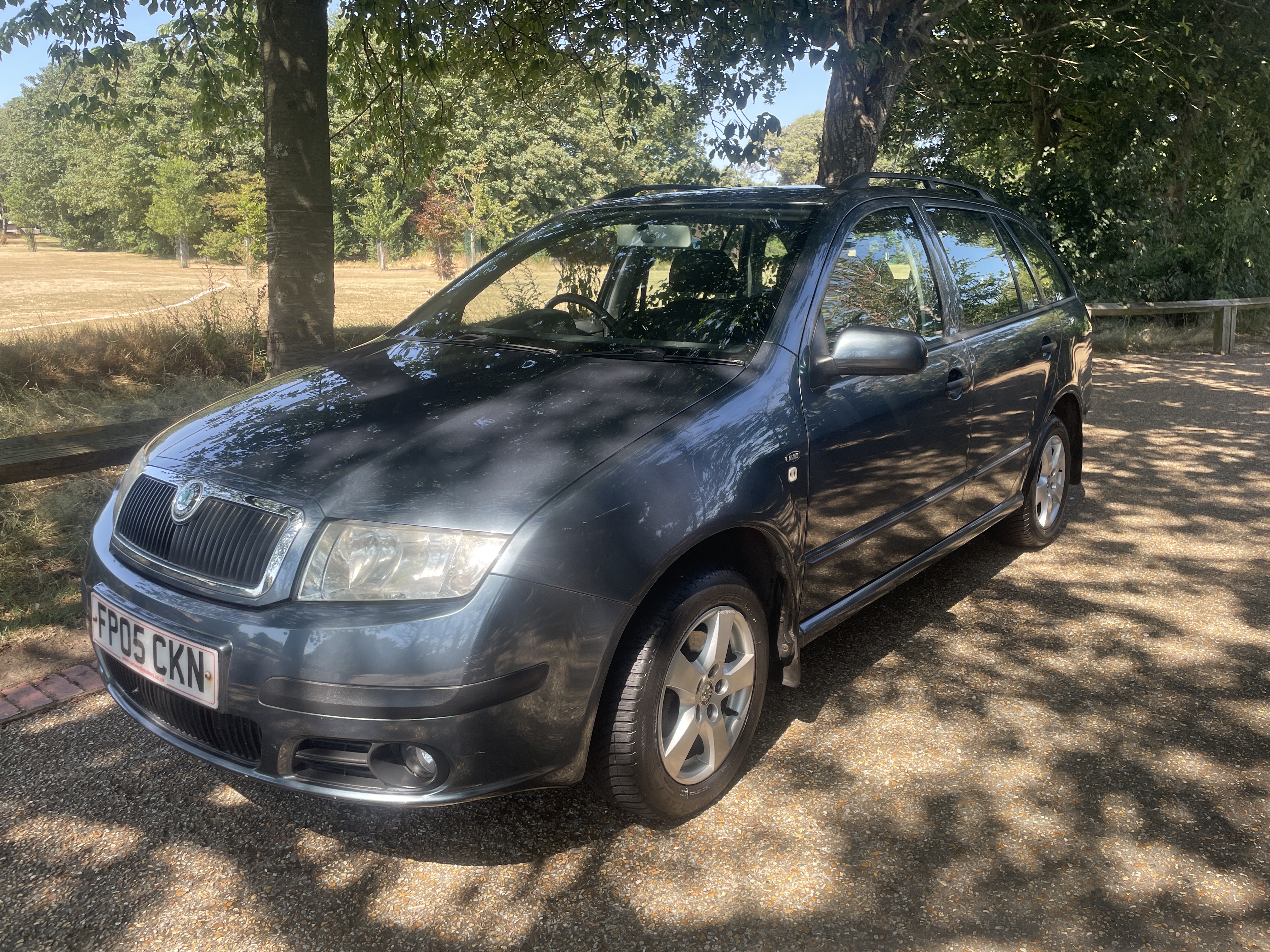 Skoda Fabia 1.9 TDi Elegance Diesel